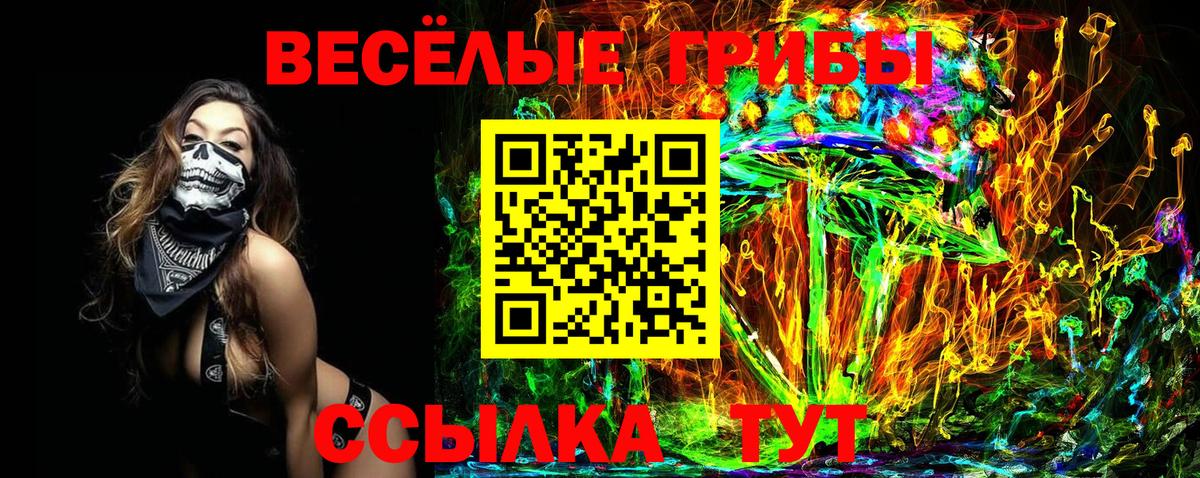 Галлюциногенные грибы Psilocybine cubensis Чернушка