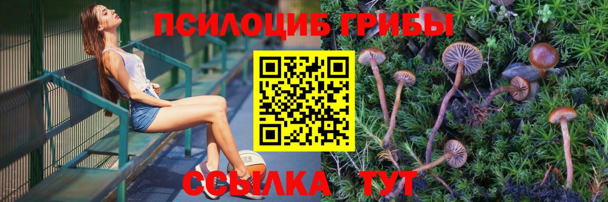 Чернушка  Псилоцибиновые грибы мухоморы  Псилоцибиновые грибы прущие грибы  Вход с VPN 